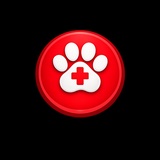 Veterinario